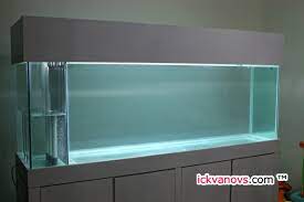 Hiasan aquarium menjadi hal yang paling dicari oleh para pecinta ikan hias? Aquarium Baru Ickvanovs Blog