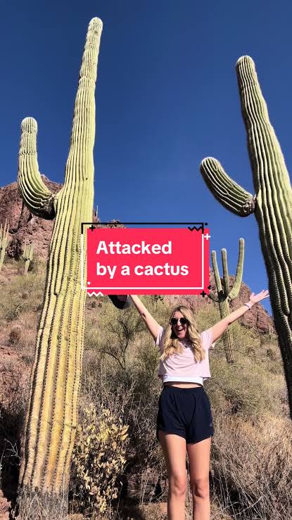 Hiking Adventures in Arizona: Cactus Encounters