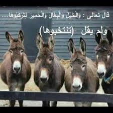 Pin By Abomohammad On صور وملصقات منوعة Quotes For Book Lovers Funny Pictures Children Photography Poses