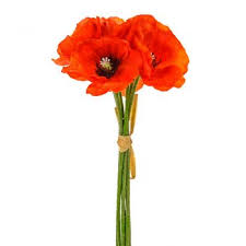 Maybe you would like to learn more about one of these? Artificial Poppies Online Beautiful Artificial Flowers Shelf Edge Uk