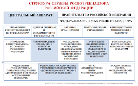 Была основана и открыта в 2004 году указом президента №314 и. Tema Organizaciya Sluzhby Po Nadzoru V Sfere Zashity Prav Potrebitelej I Blagopoluchiya Cheloveka Metodicheskie Materialy Oziz Yandeks Dzen