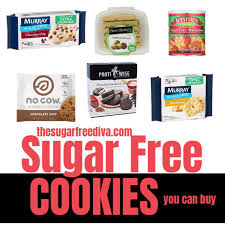 Every sugar free recipe i see either has chocolate chips or raisins or. Sugar Free Cookies You Can Buy The Sugar Free Diva