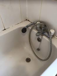 New bath seal, tap and bath panel.