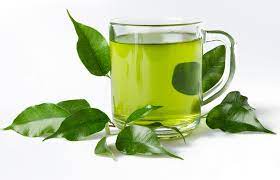 Daun hijau di atas piring anyaman coklat bulat, teh hijau oolong tieguanyin matcha, daun teh hijau dari bahan teh hitam, makanan alami, cat air png. Mengenal Proses Pengolahan Teh Hijau