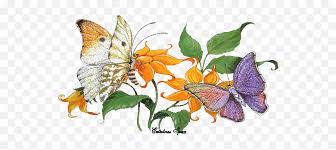 Search and download free hd butterfly png images with transparent background online from lovepik.com. Pin Animated Butterfly Transparent Flower Gif Png Free Transparent Png Images Pngaaa Com