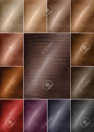 color chart for tints hair color palette with a wide range of