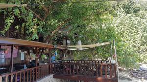 Read my review of the longsha campsite on pulau kapas! Kapas Island Malaysia The Best Snorkelling In Asia By Far