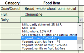 Excel Calorie Counter