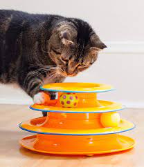 Amazon Com Petstages Tower Of Tracks Cat Toy 3 Levels Of Interactive Play Circle Track With Moving Balls Sati Cat Toys Cat Ball Best Interactive Cat Toys