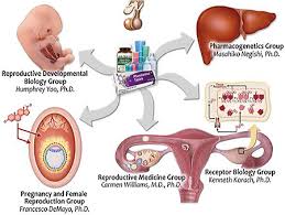 Reproductive Developmental Biology Laboratory