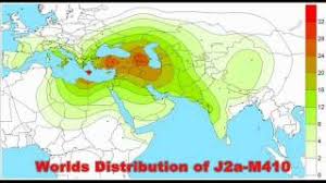 Check spelling or type a new query. The Truth About The Haplogroup J Y Dna Youtube