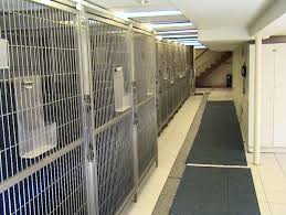 Owned and operated by dr. All Pets Vet Hospital Branchburg Nj 08876 68 Agreatertown