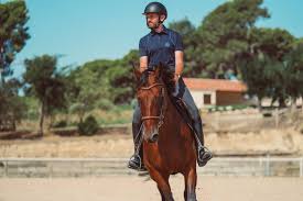 If you want to learn anak kuda in english, you will find the translation here, along with other translations from indonesian to english. Berminat Berkuda Kenali 7 Perlengkapan Berkuda Ini Yuk Decathlon