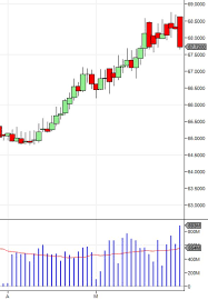 Bear Trap Trading