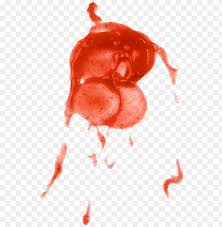 Remove from heat and season to taste with the cayenne pepper. Ketchup Splatter Png Free Ketchup Splatter Png Transparent Images 86659 Pngio