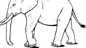 Namun, mungkin masih banyak diantara kita yang bingung bagaimana sih cara menggambar sketsa gajah yang baik dan mudah itu? Sketsa Gambar Gajah Lucu