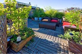 What should i know before starting a roof garden? Google Image Result For Http Www Parisbao Com Wp Content Uploads 2009 11 Roof Roof Garden Design Rooftop Garden Rooftop Design