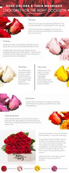 What The Colors Of Roses Mean - Kittelberger Florist