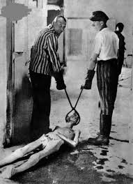 Image result for holocaust photos