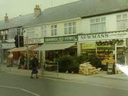 North east lincs domiciliary care service. Cromwell Road Grimsby Grimsby Immingham Local History