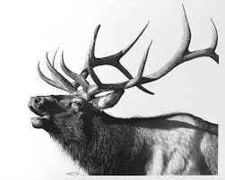 Pin On Art Pencil Chalk Charcoal