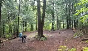 Gifford Woods State Park In Vermont Includes An Ancient Forest That S Home To 400 Year Old Trees State Parks Ancient Forest Old Trees