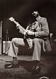 Albert King Photo Jean Pierre Leloir Albert King King Photo Blues Musicians
