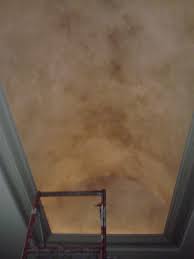 Hand Painted Faux Finish On Barrel Ceiling Barrel Ceiling Ceiling Finishes Faux Paint Finishes