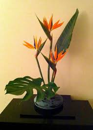 Bird Of Paradise Arrangement Ideas Bird Of Paradise Contemporary Arrangements Google Search Tropical Flower Arrangements Tropical Floral Arrangements White Flower Arrangements