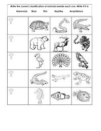 Worksheet on animal classification directions answer the following questions q nos 1 to 30 by selecting the correct most appropriate options 1 the. Classification Of Animals Exercise