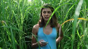 For much more sheet relevant to the sheet given above you can surf. In The Tall Grass Review Netflix S Stephen King Adaptation Is A Mess Indiewire