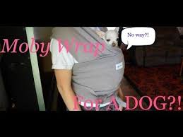 How To Make A Dog Sling Carrier Youtube Dog Sling Dog Carrier Sling Small Dog Carrier