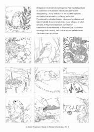 Here is an example of a page of elephants. Nocturnal Animals Coloring Pages New Digital Pdf Of Australian Endangered Animals Colouring Pages Book Alicia Rogerson Meriwer Coloring