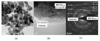 Шон патрик флэнери, мэри стинберген, джефф голдблюм и др. Nanomaterials Free Full Text Lead Free Bnt Bt0 08 Cofe2o4 Core Shell Nanostructures With Potential Multifunctional Applications Html