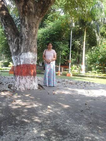 The tree where Chandrasekhar Azad tried to hide from the shootout with the British. - Picture of Chandrashekhar Azad Park, Lucknow - Tripadvisor