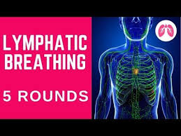 Deep Breathing For Lymphatic System 5 Rounds Inspired By Wim Hof Breathing Technique Youtube Lymphatic System Lymphatic Lymph System