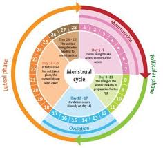Pin On Infertility Awareness Education