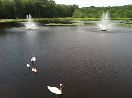 A Beautiful Spring Day On The Old Mill Pond Is Spring Lake Heights Wall Nj Spring Lake Favorite Places Spring Day