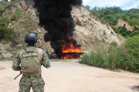 Destruyen dos toneladas de drogas aseguradas en Acapulco y CDMX