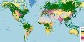AI Solutions for Climate Change Challenges
