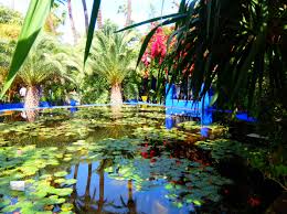 > maison et jardin majorelle à marrakech au milieu des cactus. Jardin Majorelle A Marrakech Inspiration For Travellers