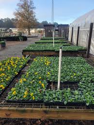 Profile for Lawn Barber Nursery