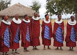 Maasai society has an organization based on patriarchy, men manage, govern and hold more active roles, while women play marginal ones and are subjected to men. Group Of Maasai Women Photograph By Sally Weigand