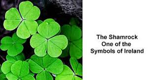 From leprechauns to the color green, find out how symbols we now associate with st. Saint Patrick Saint Patrick S Day Traditions