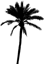 Palma Png