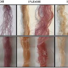 Unfortunately, asian hair is magical and this could not be reproduced on my hair. Overbleached Asian Hair Colored With Kp Um Protein Right And The Download Scientific Diagram