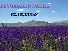 Hz Suleyman In Hayati Sozleri Ve Mucizeleri Sozharmani Com