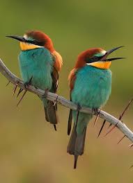 Pin On Travelocountry Com