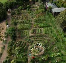 alice waters edible schoolyard remodelista jardin naturel jardin permaculture potager permaculture