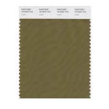 Guild green / english mist 1 / 10gy 20/179 #777b5b δe = 4.681 / lrv ≈ 18.8%. Pantone 18 0629 Tcx Swatch Card Lizard Buy In India